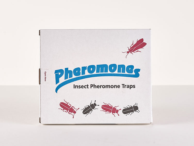 Clothes Moth Pheromone Trap (webbing Clothes Moth: 5 Pheromone Traps)